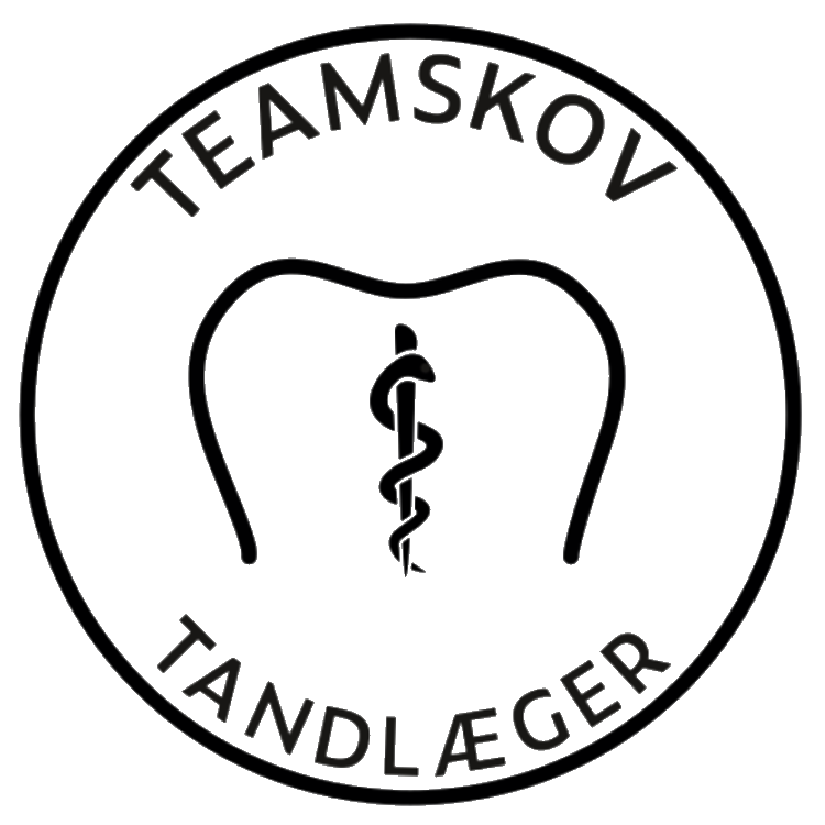 TEAMSKOV logo